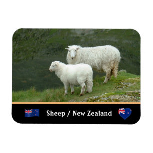 Schafe, Lämmer und berühmte Landtiere / Neuseeland Magnet