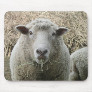 Schafe Mousepad