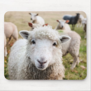 Schafe Mousepad