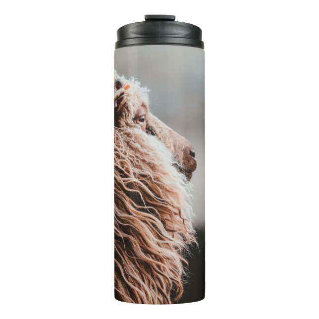 SCHAFE THERMOSBECHER (Vorderseite)