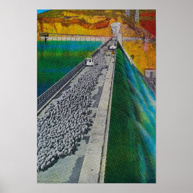 Schafe über Grand Coulee Dam Poster (Vorne)