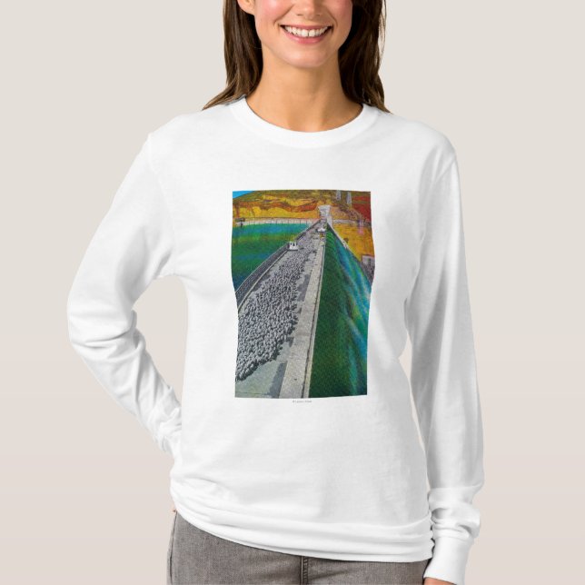 Schafe über großartiger Coulee Verdammung T-Shirt (Vorderseite)