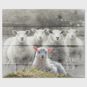 Schafe und Baby Lamb Geschenkpapier