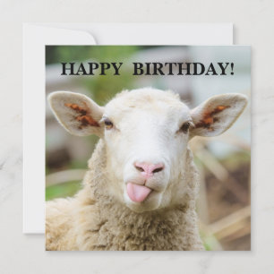 Schafe zeigen Zunge Feiertagskarte