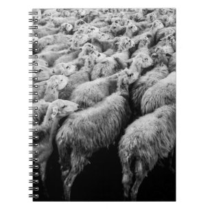 SCHAFENHERD IN GRAYSCALE-FOTO NOTIZBLOCK