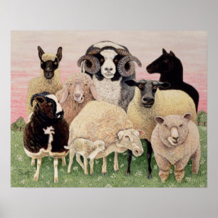 Schäfer-Freude Poster