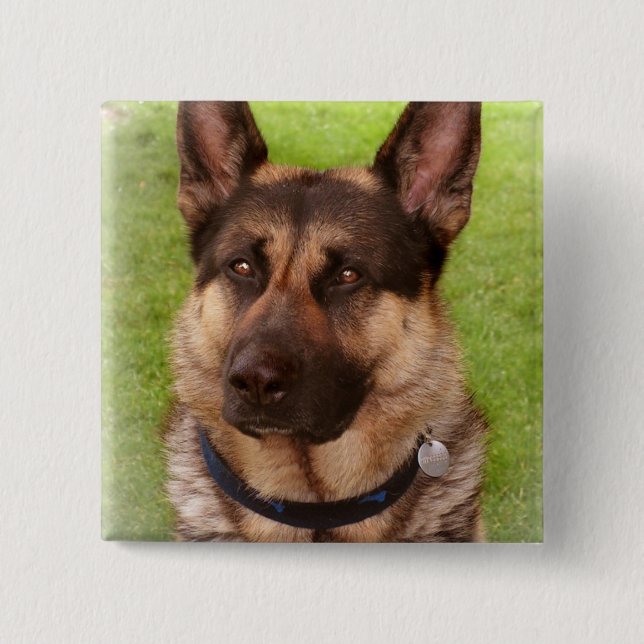 Schäfer-Hundequadrat-Button Button (Vorderseite)