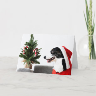 SCHÄFER IN Weihnachtsmannmütze Faltkarte Karte
