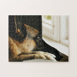 Schäferhund