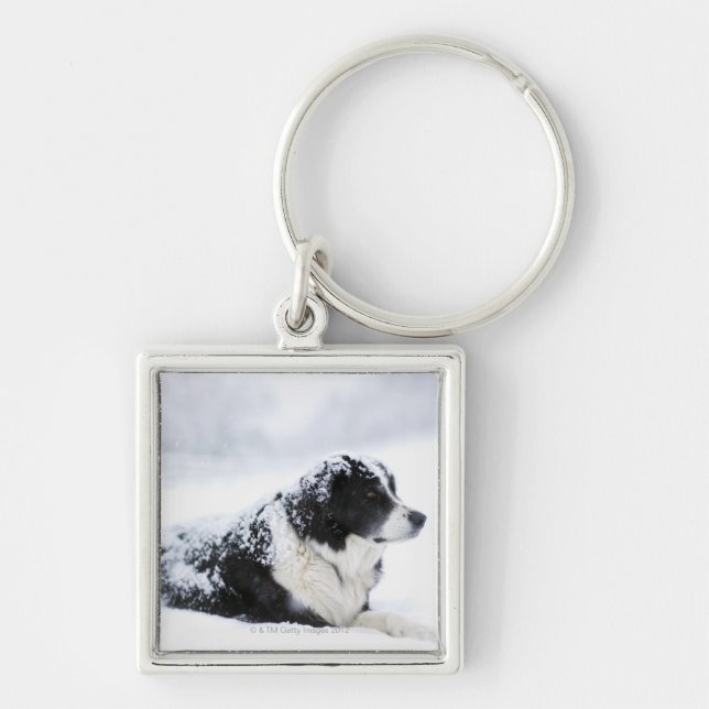 Schäferhund (Akbash/Colliemischung) liegend heraus Schlüsselanhänger (Vorne)