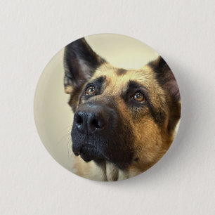 Schäferhund-Bild-runder Knopf Button