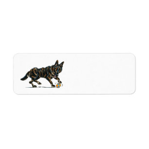 Schäferhund Dax