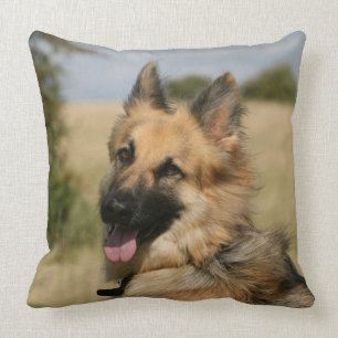 Schäferhund, der heraus Zunge haftet Kissen