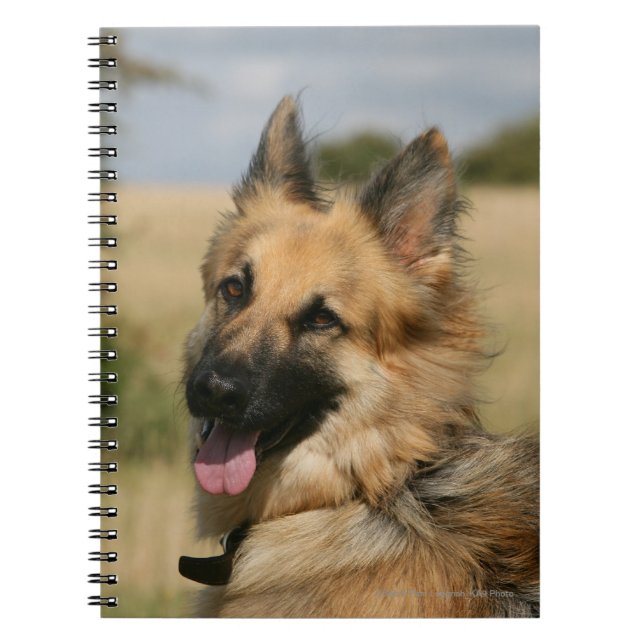Schäferhund, der heraus Zunge haftet Notizblock (Vorderseite)