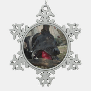 Schäferhund, der mit Hundespielzeug spielt Schneeflocken Zinn-Ornament