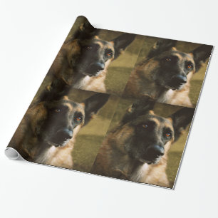 Schäferhund-Geschenk-Packpapier Geschenkpapier
