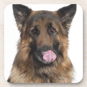 Schäferhund Getränkeuntersetzer