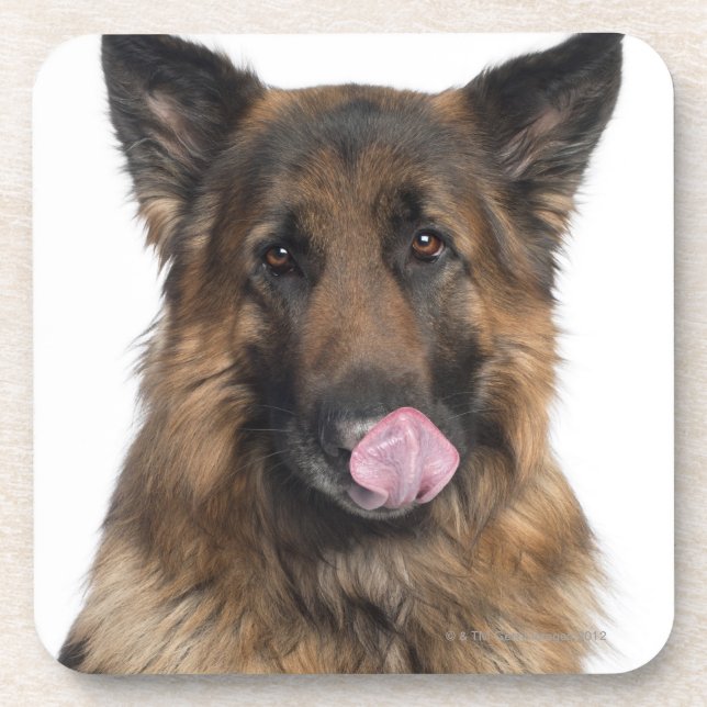 Schäferhund Getränkeuntersetzer (Vorderseite)