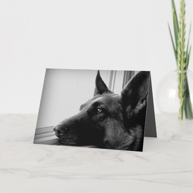 Schäferhund-Gruß-Karte Karte (Vorderseite)