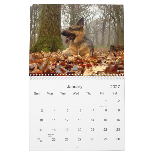 Schäferhund- (GSD)Kalender Kalender (Jan 2027)