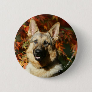 Schäferhund-Herbst-Blätter Button