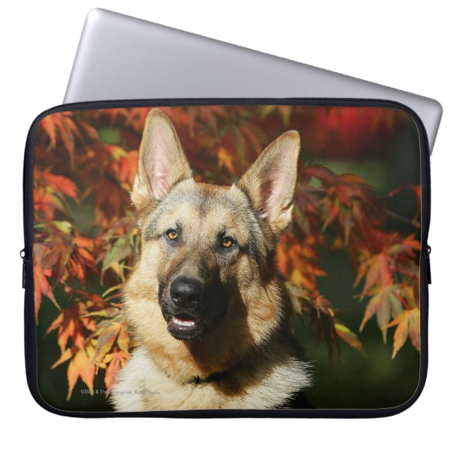 Schäferhund-Herbst-Blätter Laptopschutzhülle (Vorderseite)