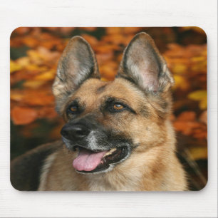 Schäferhund-Hund Mousepad