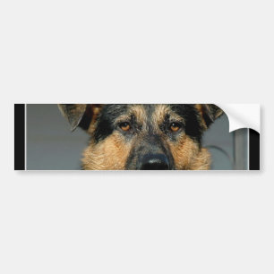 Schäferhund-HundeAutoaufkleber Autoaufkleber