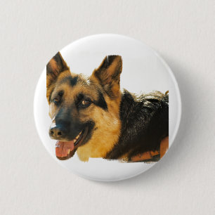 Schäferhund-HundeFoto-Button Button