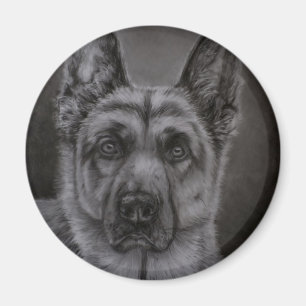 Schäferhund-Hundekunst - Adliger Magnet