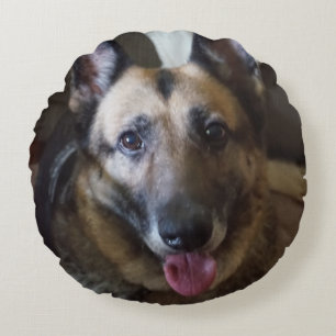 Schäferhund-Hunderundes Kissen