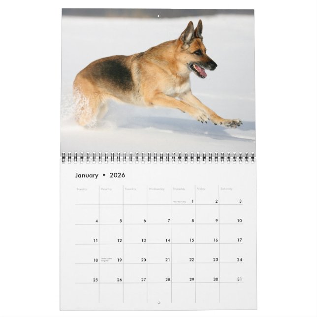 Schäferhund-Hundewandkalender Kalender (Jan 2026)
