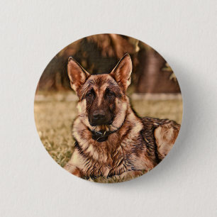 Schäferhund-HundHackibus Knopf Button