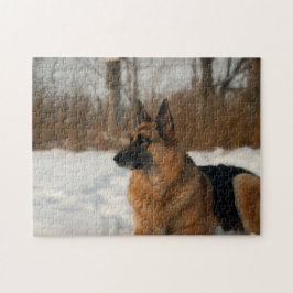 Schäferhund im Schnee