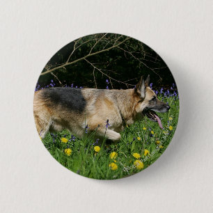 Schäferhund in den gelben Blumen Button