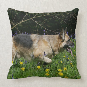 Schäferhund in den gelben Blumen Kissen