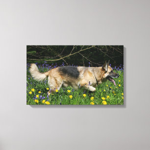 Schäferhund in den gelben Blumen Leinwanddruck
