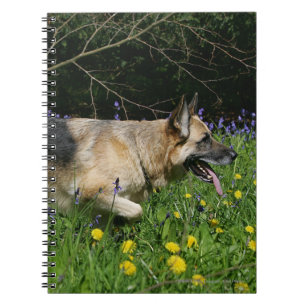 Schäferhund in den gelben Blumen Notizblock