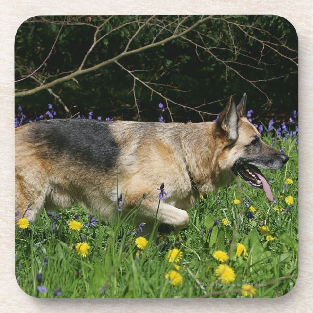 Schäferhund in den gelben Blumen Untersetzer (Vorderseite)