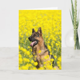Schäferhund in der Senfkorngrußkarte Karte