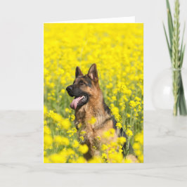 Schäferhund in der Senfkorngrußkarte Karte