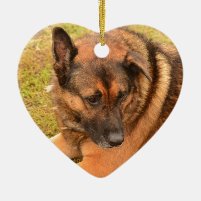 Schäferhund mit einem schlaffen Ohr Keramik Ornament (Vorne)