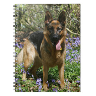 Schäferhund-Niederlegung Notizblock