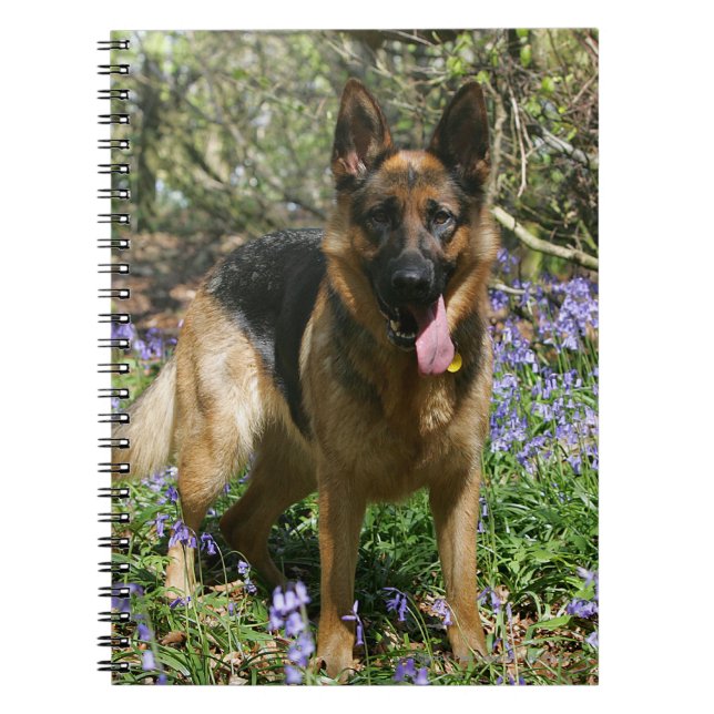 Schäferhund-Niederlegung Notizblock (Vorderseite)