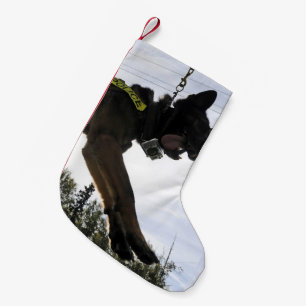 Schäferhund-Polizei-Hund Kleiner Weihnachtsstrumpf