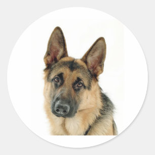 Schäferhund Runder Aufkleber