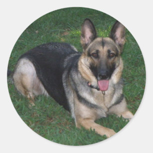 Schäferhund Runder Aufkleber