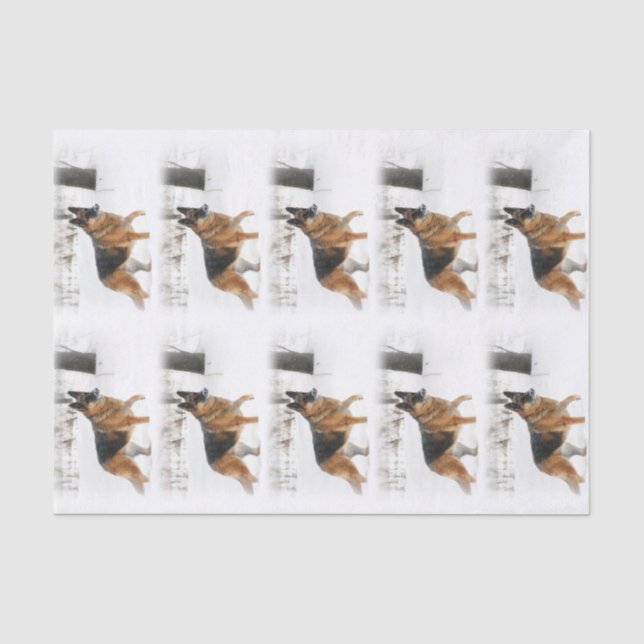 Schäferhund-Seidenpapier Seidenpapier (Vorderseite)
