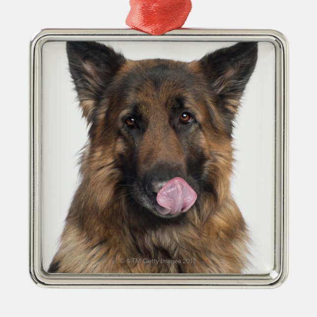 Schäferhund Silbernes Ornament (Vorne)