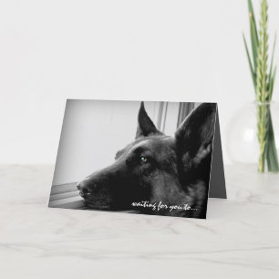 Schäferhund-Valentinstag-Karte Feiertagskarte